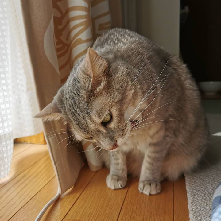 8e7fe266 50f5 45a0 8c77 d968e7d4b41e 1683689870565