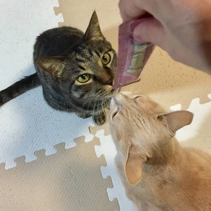 8e7fffa4 48be 4bce 93df 2d256ec74f0d 1548422234349