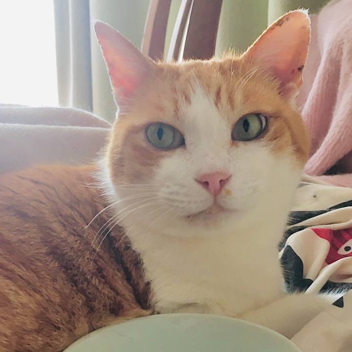 8e8037b5 bbcd 47de a285 2e0ebfdb5102 1586143757325