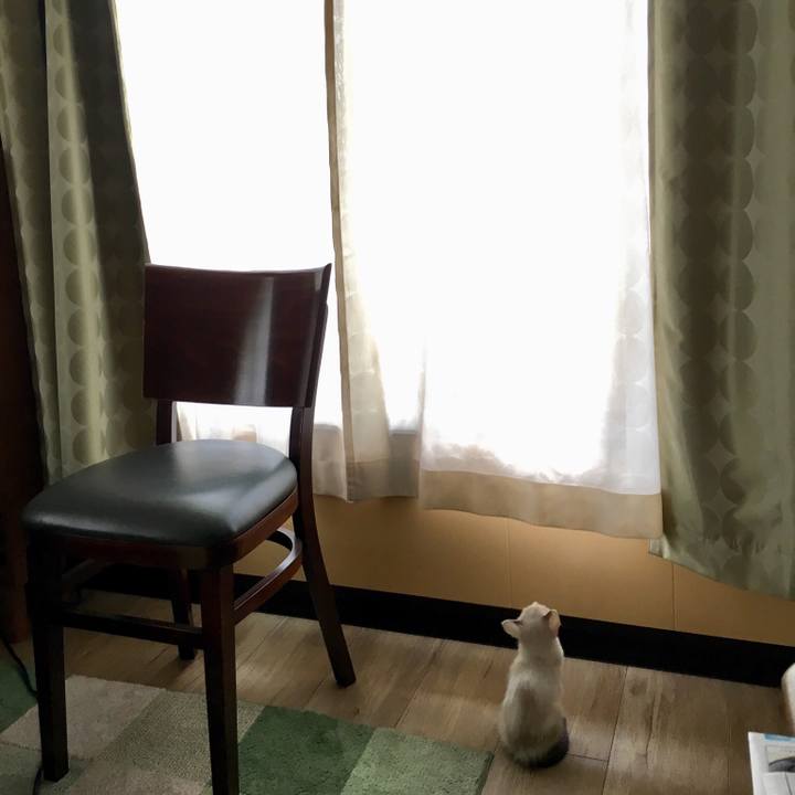 8e804dea 033c 41a6 a098 6f26bcb65d48 1530922529215