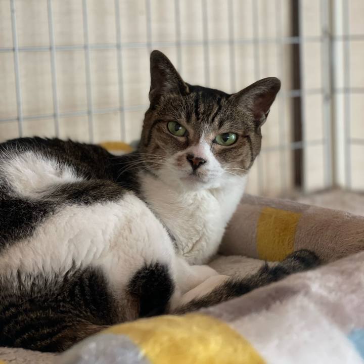 8e80bf0a 4d60 4dff b04c 1e887fa46655 1655087268707