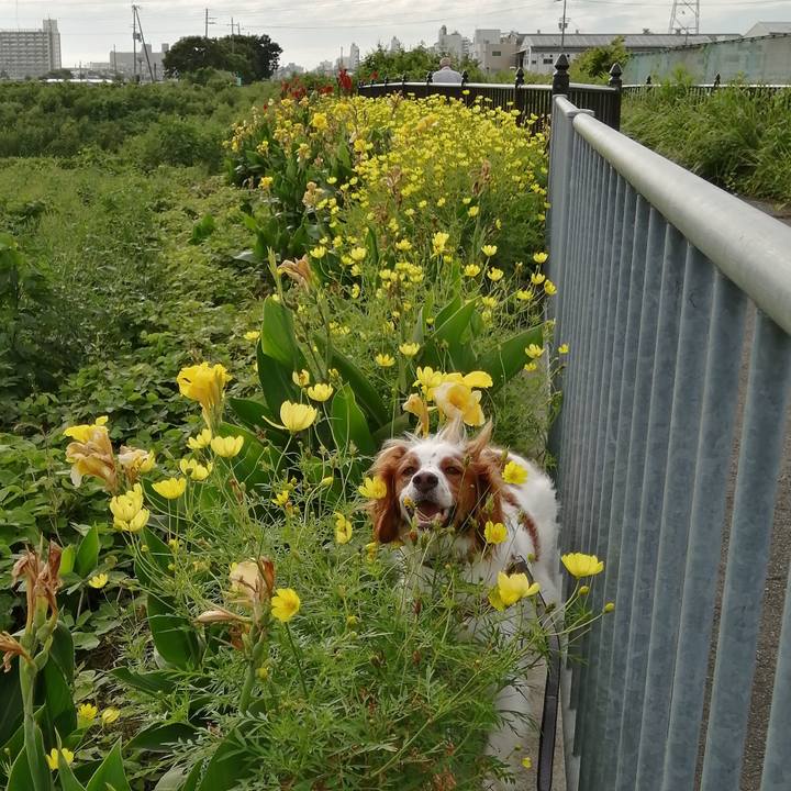 8e80d05f 98df 4291 be33 2d29399d952b 1568374644088