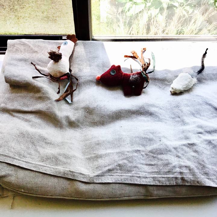 8e80e089 13f9 4251 9336 3d6192ec703e 1591361085091