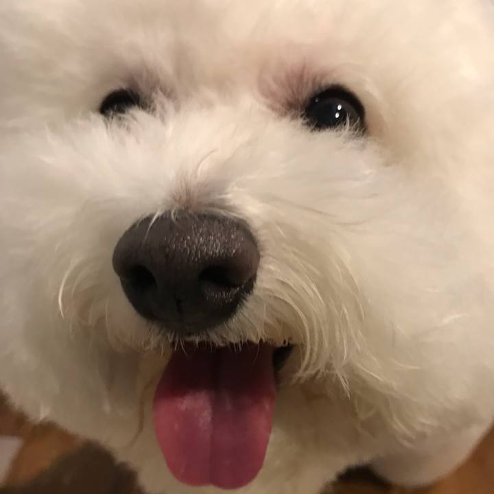 8e80e6dd 6a82 416d 9ee5 132fc7cae4d9 1571382182802