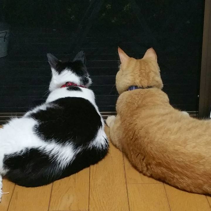 8e815acc 096b 4b0a 871a 33026d2d52c5 1535022003279