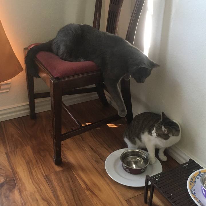 8e81712b 87eb 48ab 90b1 f14fc854149a 1662077806033