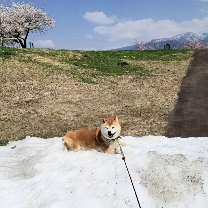 8e81722f 769c 4078 8b14 1258e592ddda 1650339086411