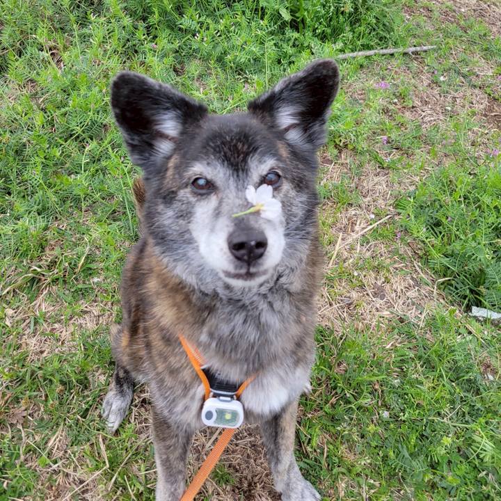 8e817bc2 53dc 4755 af65 0c445e31c4c6 1743768520322