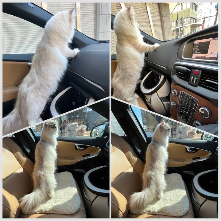 8e819270 3fa7 4001 ab0b 6355ecd2c659 1707708669339