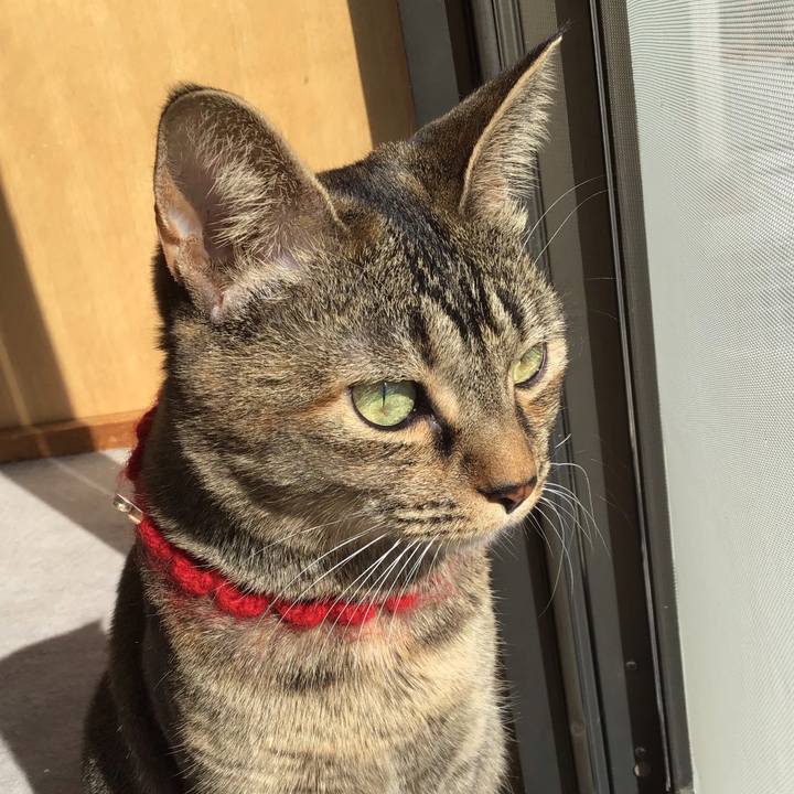 8e81ae4e ae96 49dd 9436 6c2de96df6a0 1614075276538