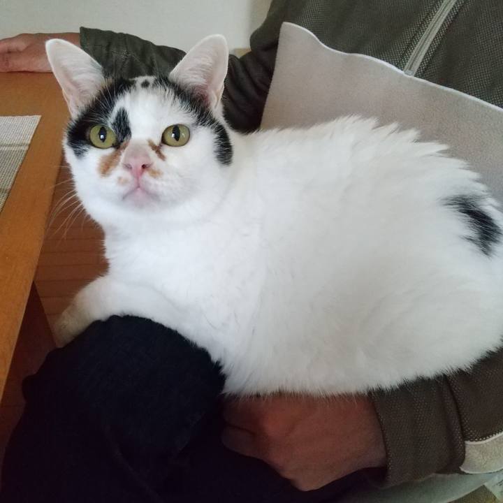 8e81b1fa ec6d 4fb3 b0cc be122148de20 1697342249025