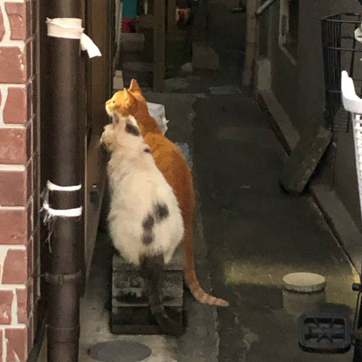 8e81b57b 7a21 464f 859e 3490331f4d0e 1570465398385