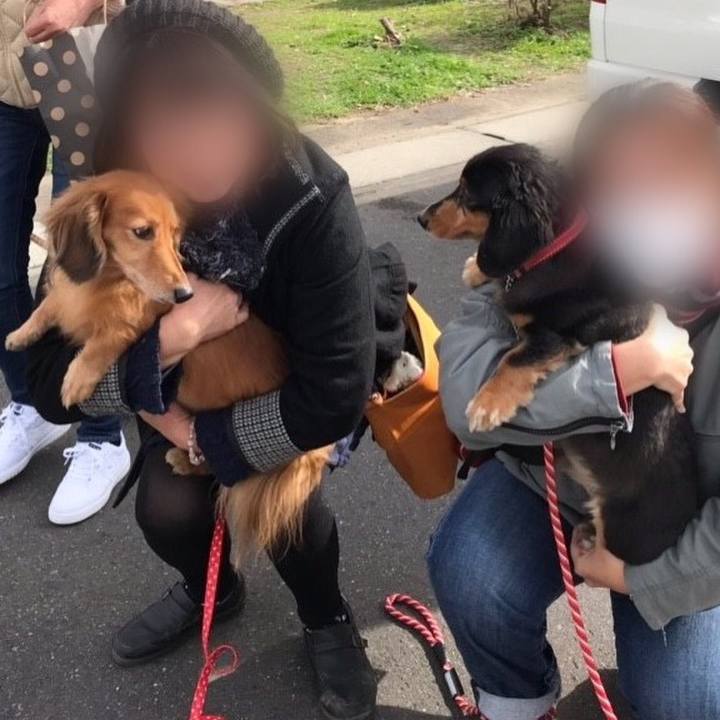 8e81c78b 0981 45a7 baac 00f640e296e0 1543051059723