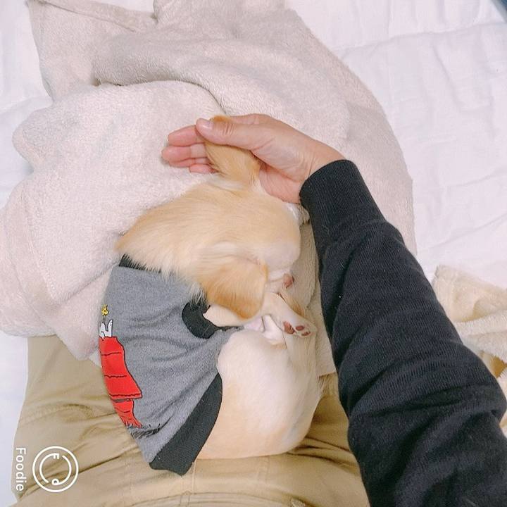 8e81d071 7f8e 46fc ac34 6add2a485d06 1602136685859