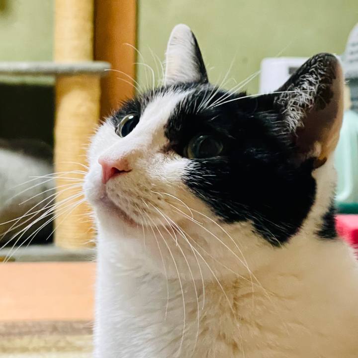 8e81d1f7 4624 4438 8207 3e0db9a49091 1612837627294