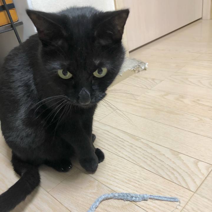 8e81f833 2b72 4bc3 9a08 ab59a6ae72bc 1609772751012