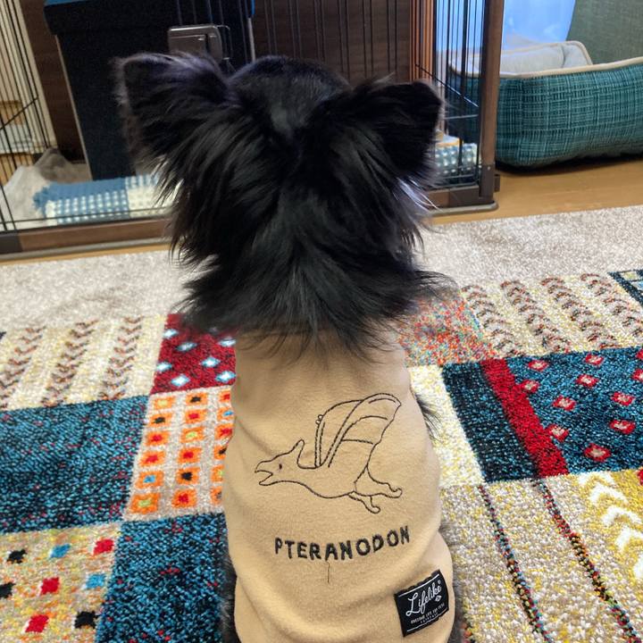 8e82050c 27d2 43e3 a0d5 d1dad9881d49 1680349468504