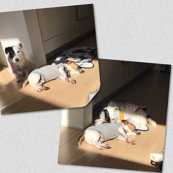 8e820901 3c41 4c16 94bd 4186b3b48cb9 1542163716237