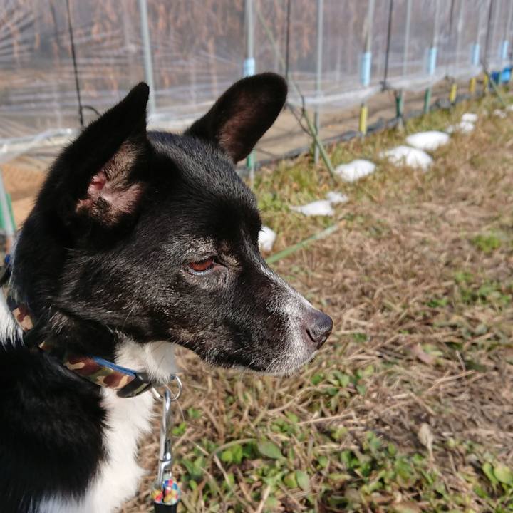 8e823cb0 7ac4 4f80 9da6 6a52a1aec20c 1512875490584