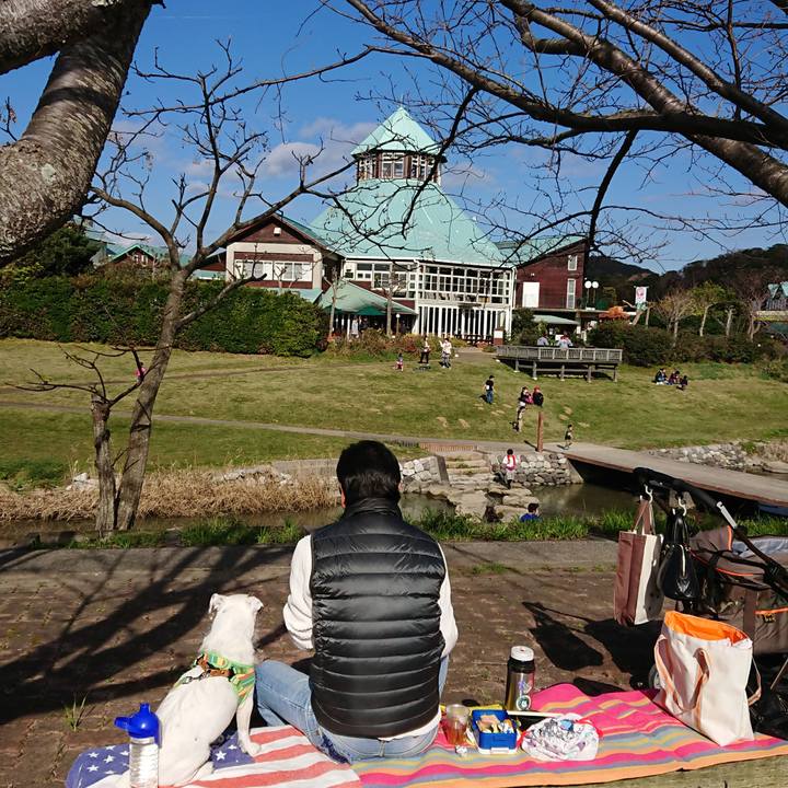 8e82582f 683f 441a ba95 cffaa49ee51a 1543059751126