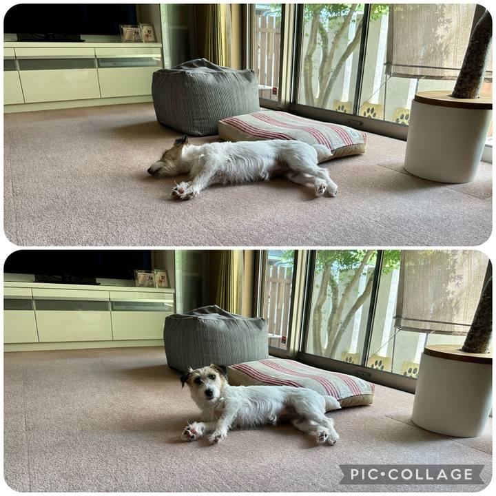 8e82e532 78e0 4761 aac1 9c5dad63333d 1690093998655