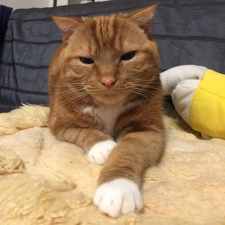 8e8320bb eadc 46b4 b0ee fa4cd4bfb73f 1552049284752