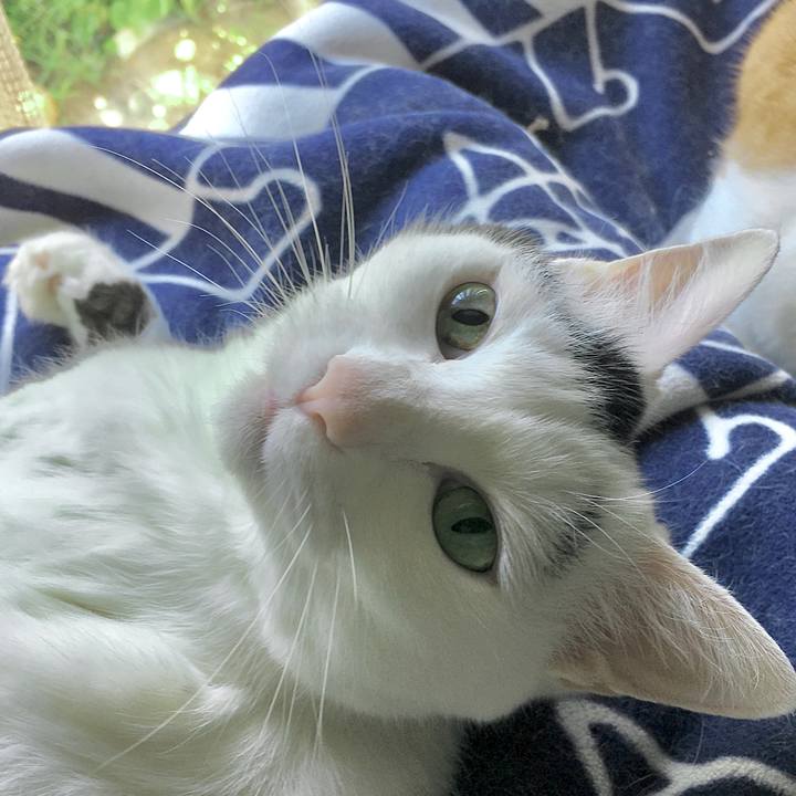 8e832399 d349 45ec af59 e8131f18f048 1591770735207