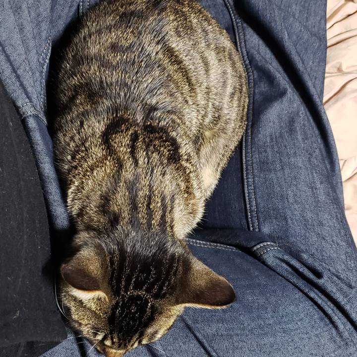 8e832417 15d8 418d befb c3cedfddf46d 1547370360971