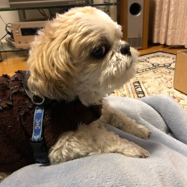 8e8350b6 4245 46b2 959d 87c2a47b0a20 1575064071149