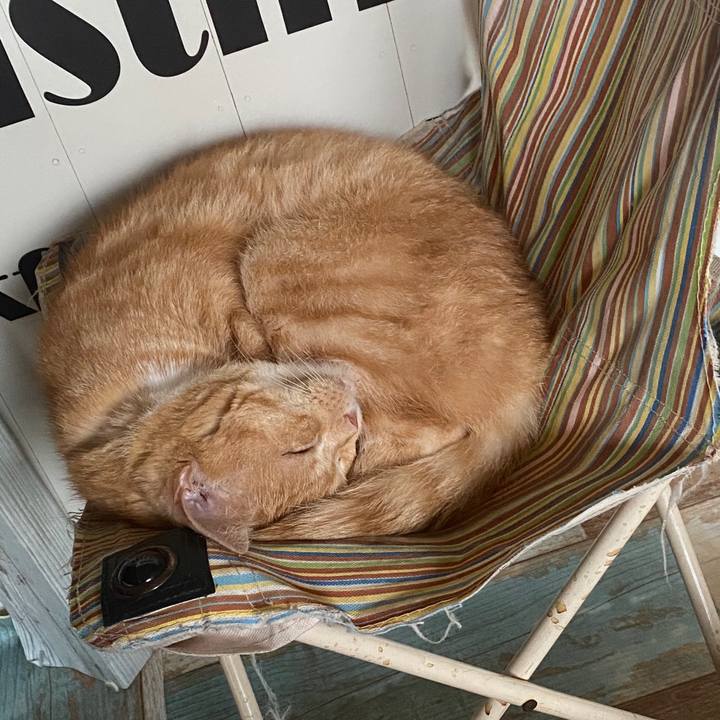 8e8381a6 cc99 4bd8 85e8 1b73c55020cf 1589314824868