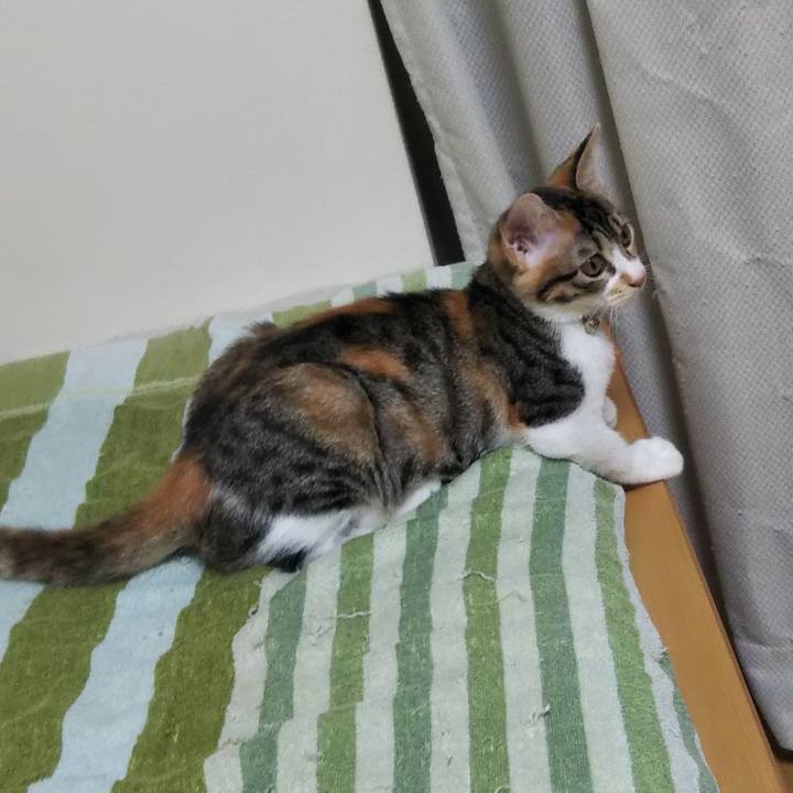 8e83929a 1fd5 45d1 bd03 8df7408ba60b 1628887580676