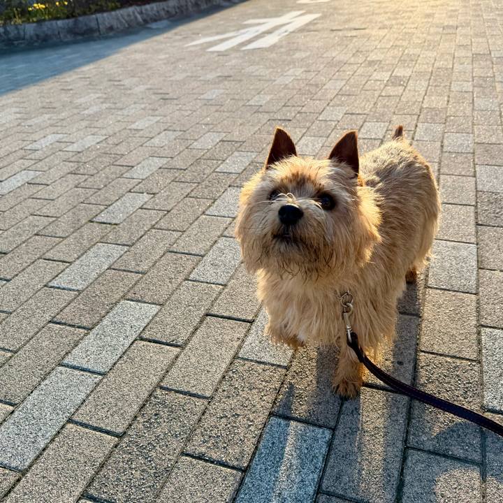 8e83d104 40b2 4095 b14c 85ed5bb5a643 1774384955679