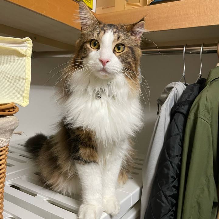 8e83f504 3808 418d a775 e3321b9755a8 1645273945831