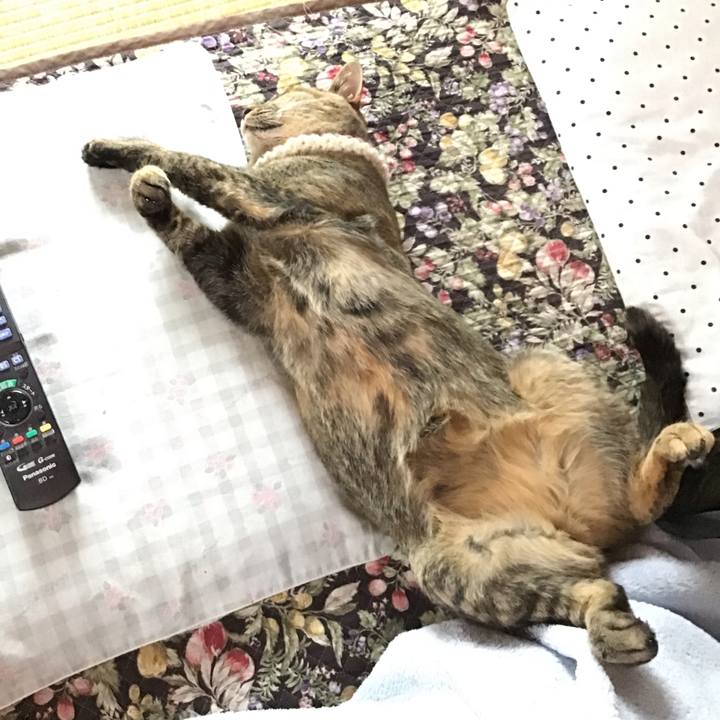 8e84396c be6f 414a 963f 5f0710ac7aad 1624066507179