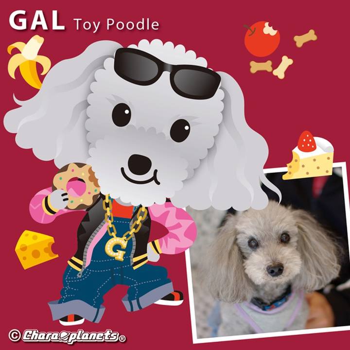 8e848507 d52a 4fe8 ad41 a6746b3f2350 1564619508990