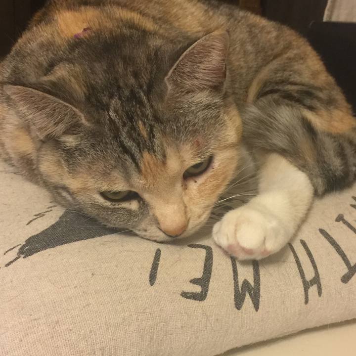 8e8498e4 c689 47d9 8c6d 1075c327101f 1548862352569