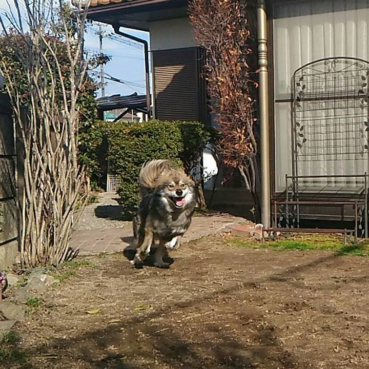 8e849de1 8821 454b 98ca f4e3a49fdb6c 1519962613522