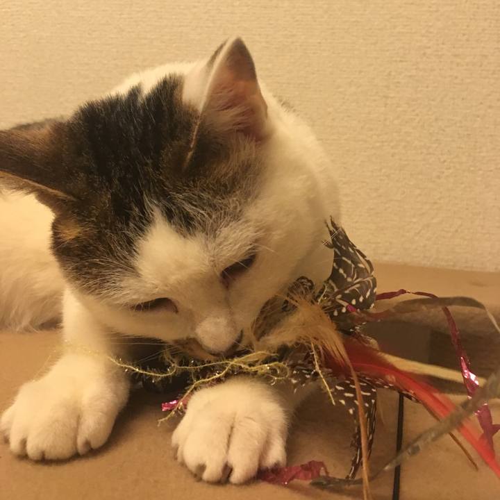 8e84b1cc f624 4f74 b37f da06b31f4953 1521001276262