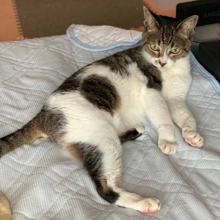 8e84f622 c745 4ec1 825c 9401105a3798 1595810892377