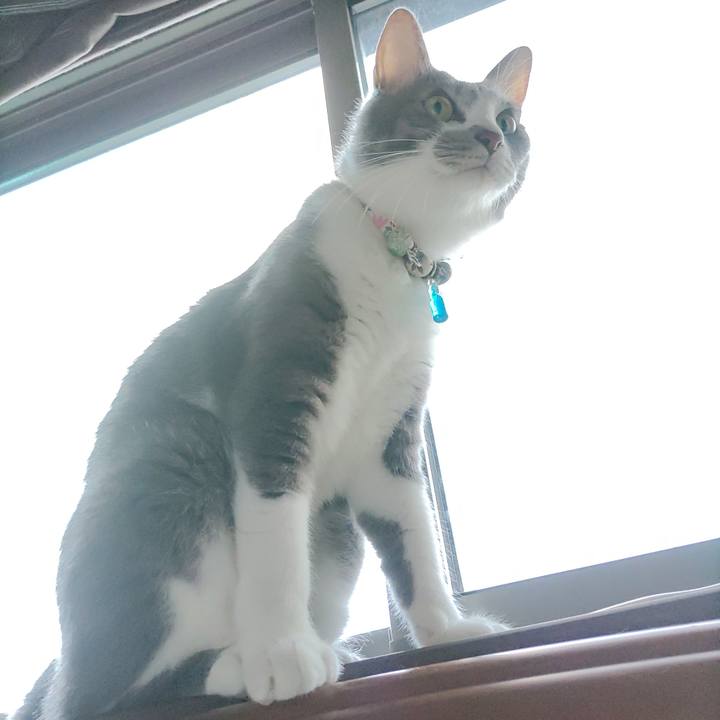 8e8500e6 fd6c 4c67 a97b 7fc762cfdb95 1693864350789