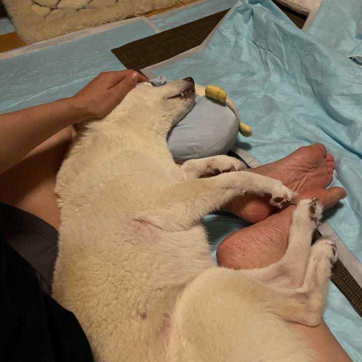 8e853692 932c 4e32 aee7 bbbee85a6174 1666117998291