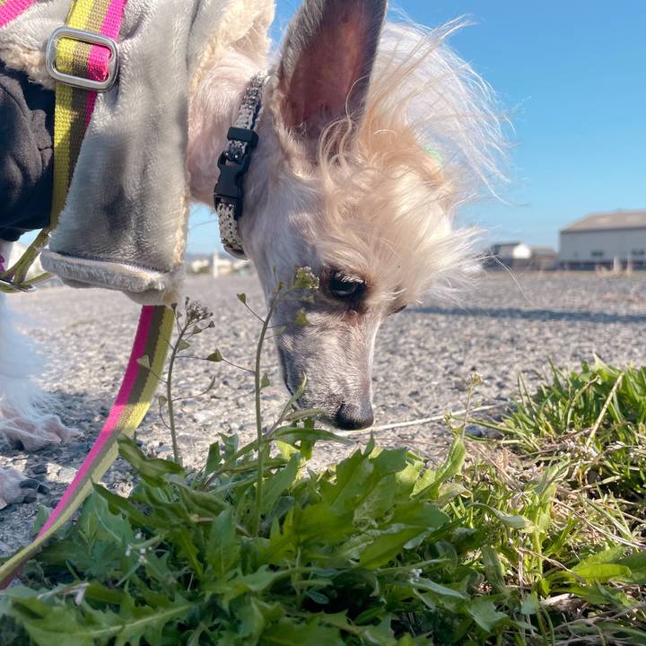 8e85432c f3e7 4384 b16c 390c068b654a 1772697895589