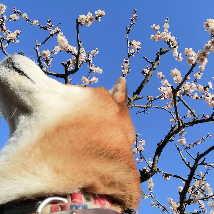 8e854ed2 8939 445d bc3b 09de3e55abae 1677569613505