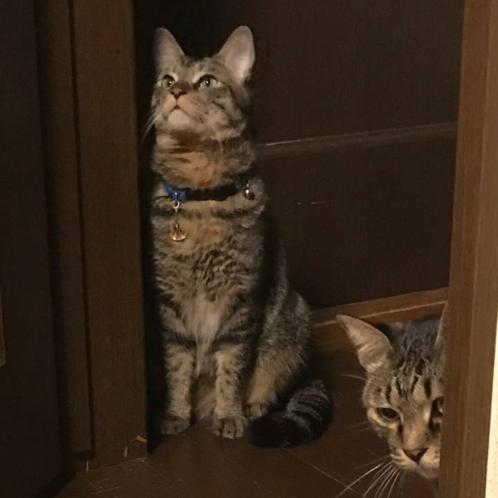 8e85b377 b6eb 44ac 9db9 ca90a22e70bf 1537782461659