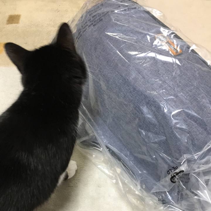 8e85d72a ae83 40eb aaea 0f1d4ca97709 1517063884072