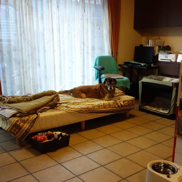 8e85fa3e 41fa 4036 9532 866eaa46d6b7 1541973798871