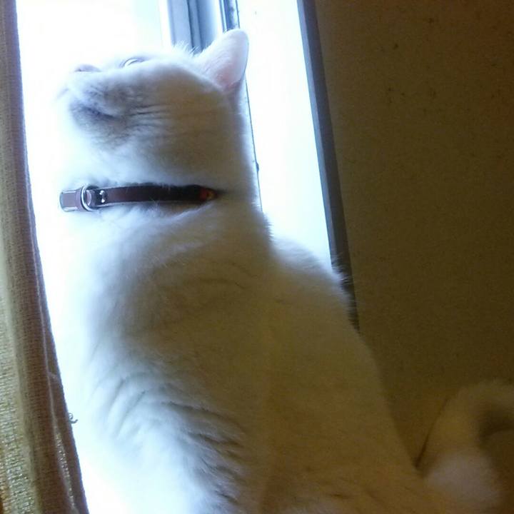 8e868268 101d 4556 9c06 beab82f1715a 1525563264358