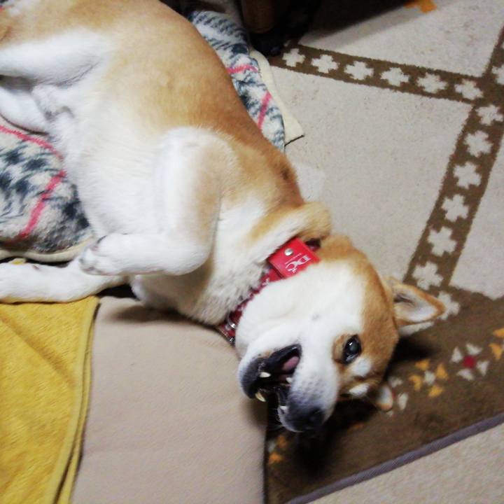 8e868ff4 803d 4188 97b9 8be193654c6b 1642669580435