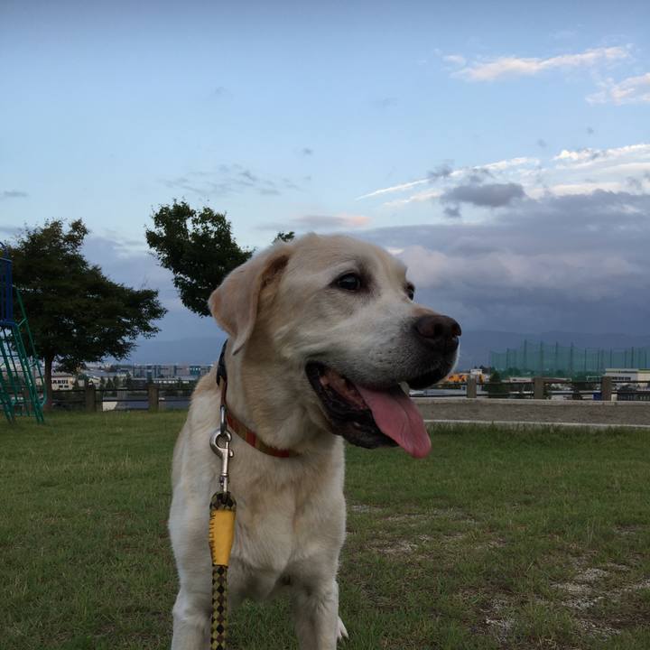 8e86ad67 2718 4f39 8275 66b43ab8e54a 1535190792526