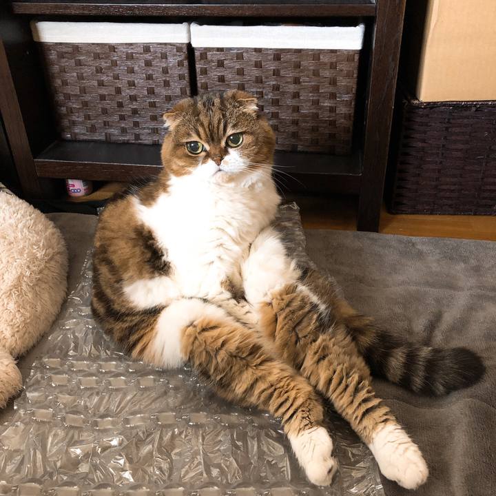 8e86ce98 2415 4297 9f31 a0ea60978b34 1553767117898